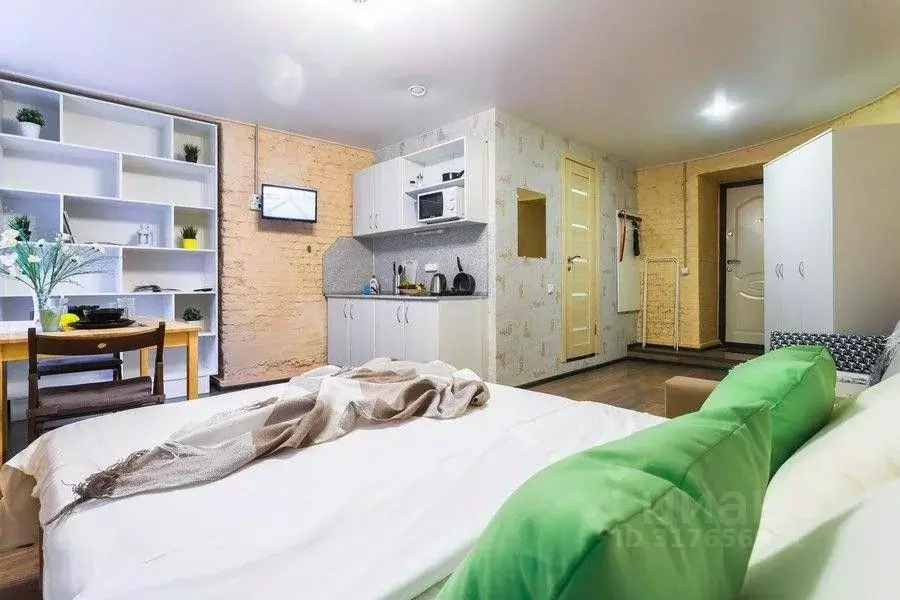 1-к кв. Санкт-Петербург пер. Бринько, 4 (26.0 м) - Фото 1