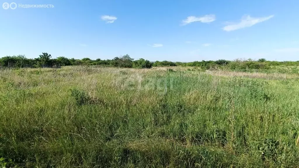 Участок в хутор Дёмино, садовое товарищество Альфа (8 м) - Фото 1