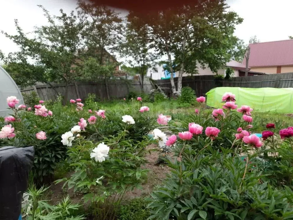 Дом в Сахалинская область, Южно-Сахалинск Медик СНТ, ул. Маерчака (12 ... - Фото 1