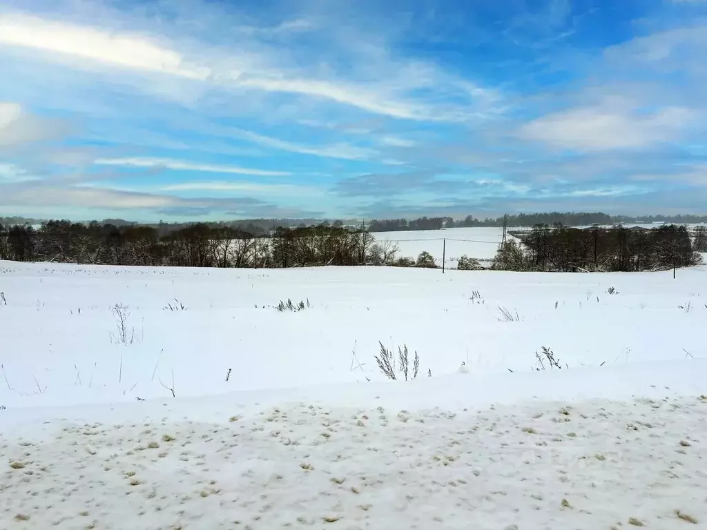 Участок в Московская область, Домодедово городской округ, пос. ... - Фото 1