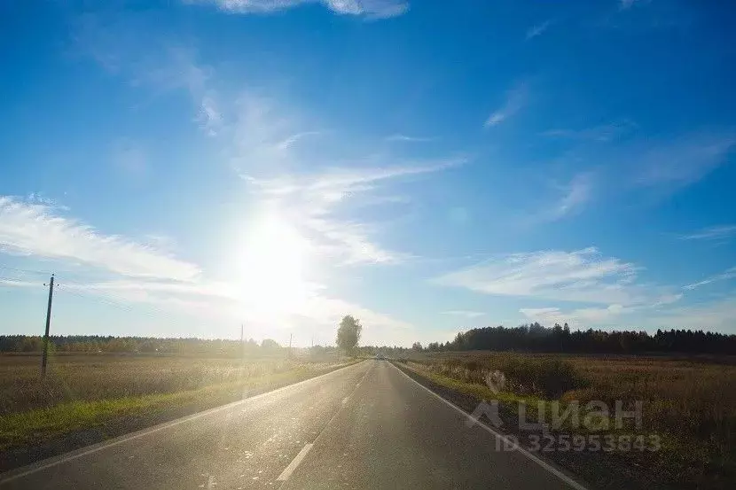 Участок в Московская область, Рузский муниципальный округ, Дудниково ... - Фото 2