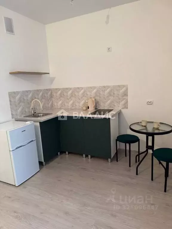 Студия Санкт-Петербург пос. Шушары, ул. Чудовская, 14к1 (24.0 м) - Фото 2