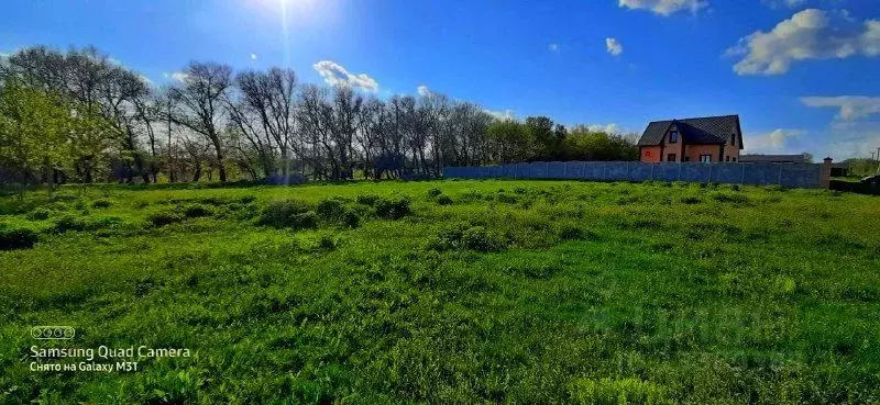 Участок в Белгородская область, Яковлевский городской округ, с. Шопино ... - Фото 0