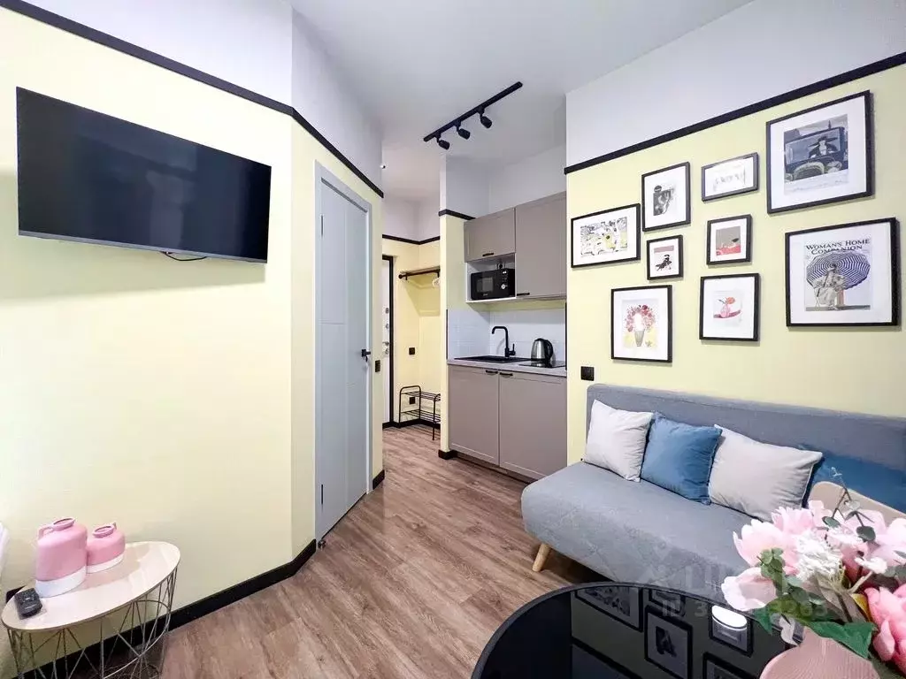 1-к кв. Санкт-Петербург ул. Рубинштейна, 24 (24.0 м) - Фото 2