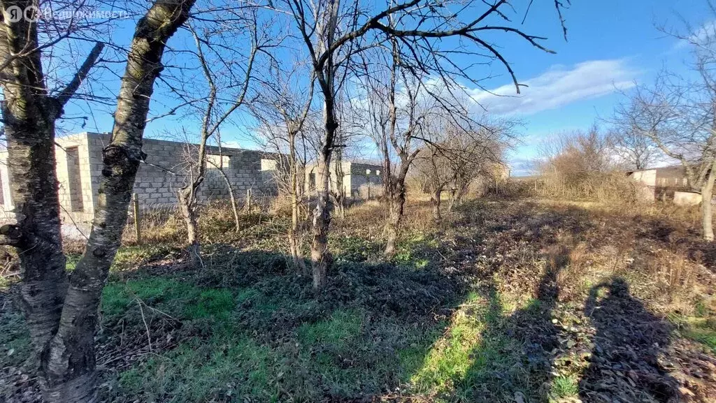 Участок в Темрюк, садово огородное товарищество Автомобилист, Ореховая ... - Фото 1