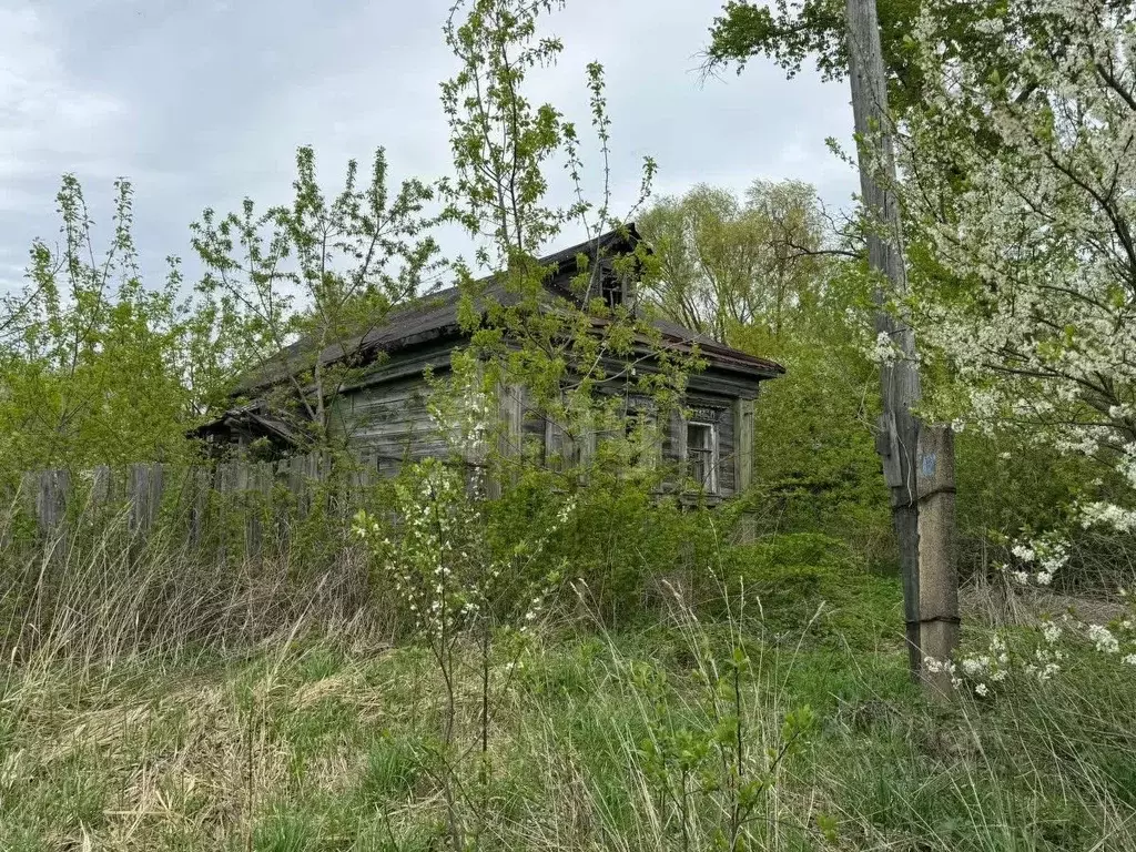 Дом в Владимирская область, Селивановский район, Малышевское ... - Фото 1