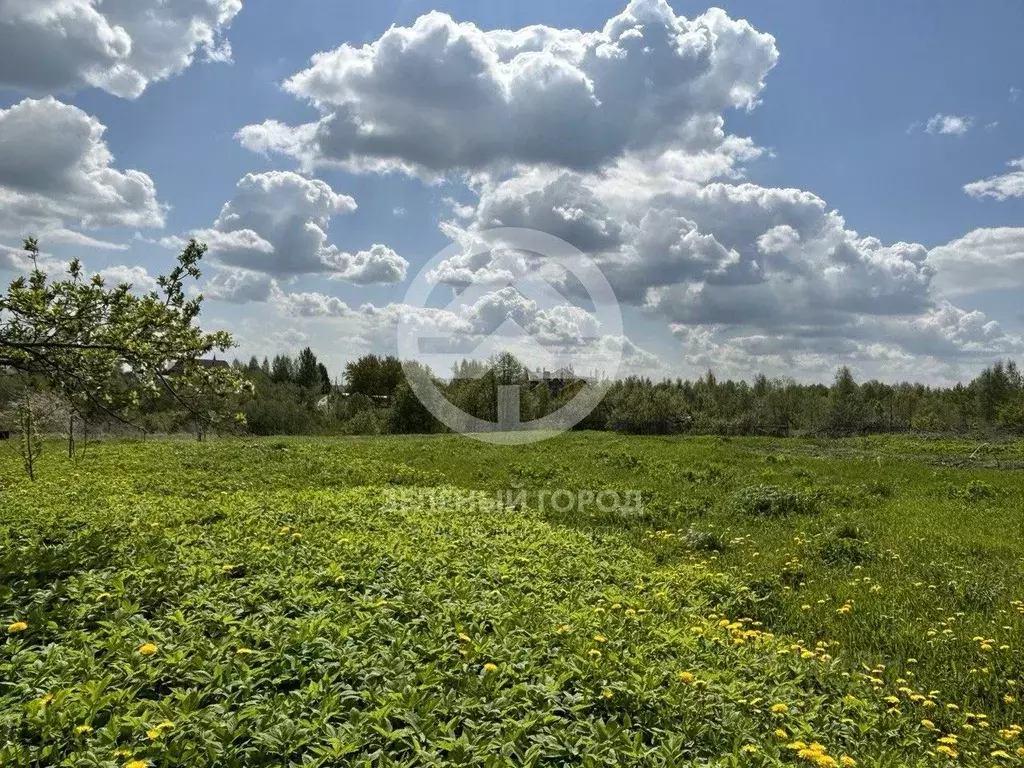 Участок в Московская область, Клин городской округ, д. Колосово  (30.0 ... - Фото 1
