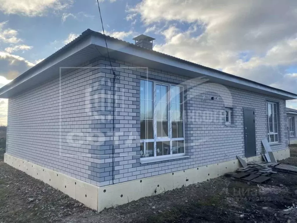 Дом в Воронежская область, Рамонский район, с. Новоживотинное  (100 м) - Фото 1