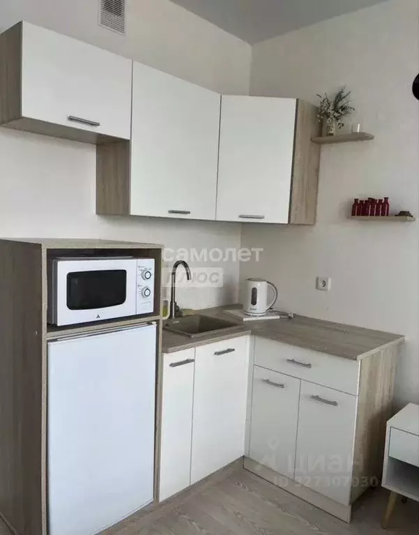 Студия Пензенская область, Пензенский район, Засечный сельсовет, с. ... - Фото 2