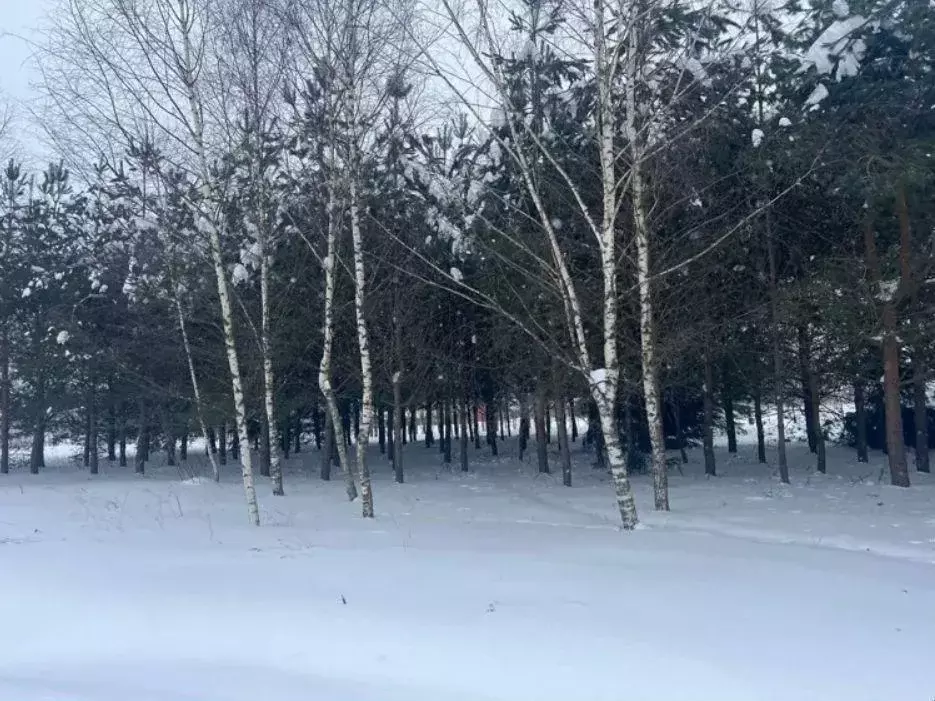 Участок, 11 сот., поселения (ижс) - Фото 1