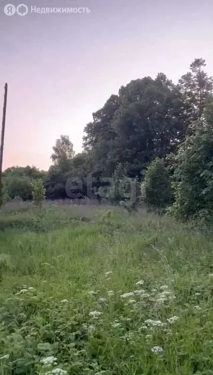 Участок в Калининградская область, Приморск (8 м) - Фото 1