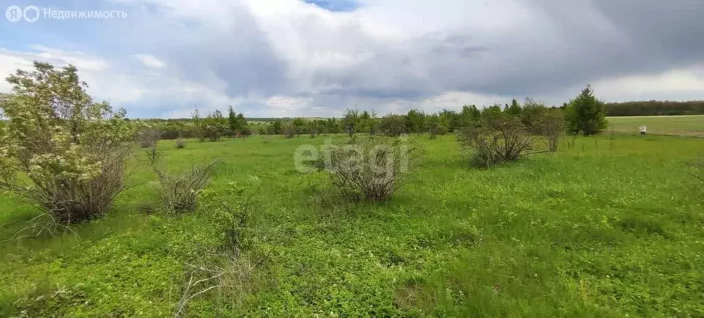 Участок в Рамонский район, Русскогвоздёвское сельское поселение, село ... - Фото 0