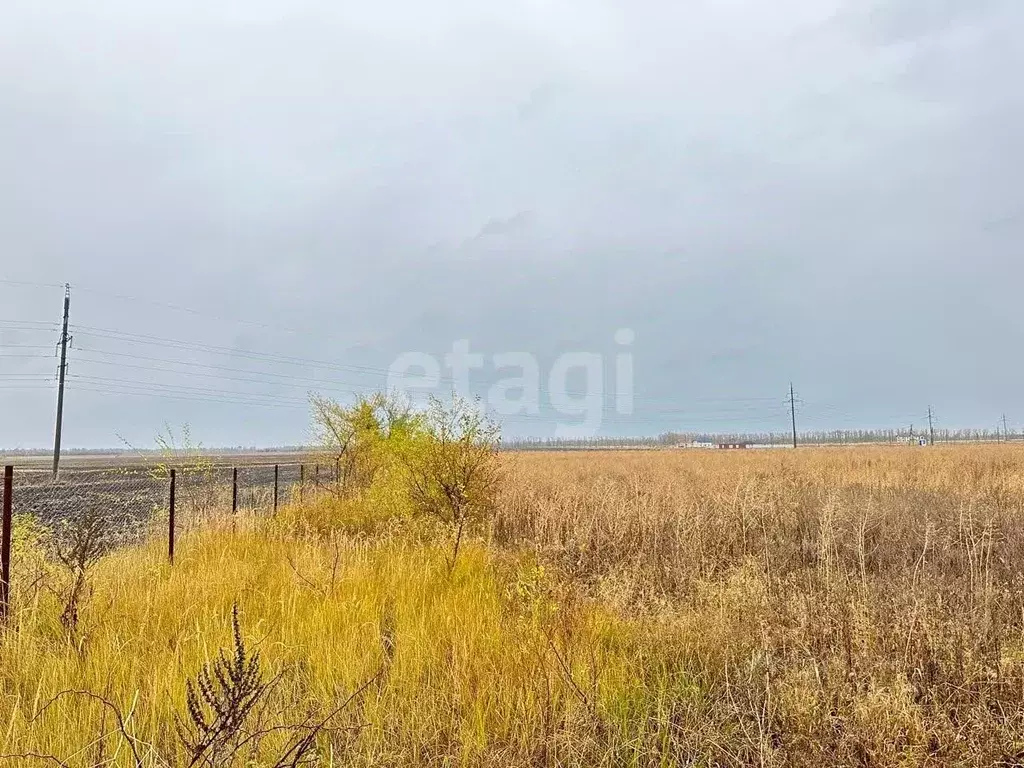 Участок в Воронежская область, с. Новая Усмань ул. Российская (10.0 ... - Фото 1