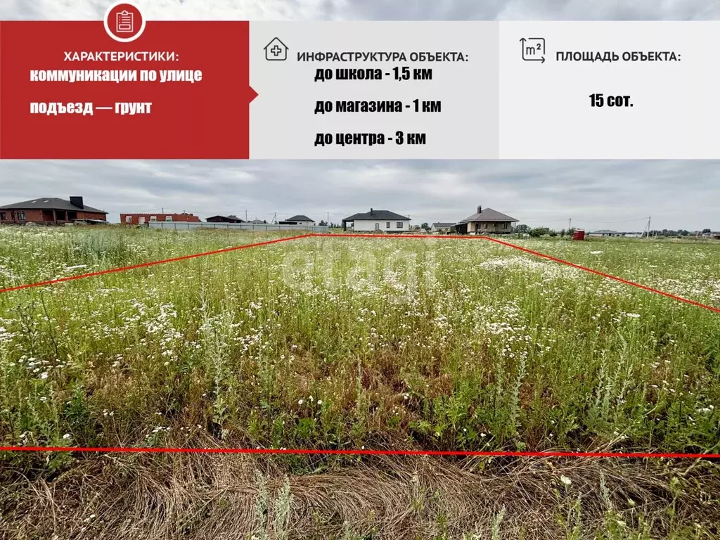 Участок в Белгородская область, Строитель Яковлевский городской округ, ... - Фото 2