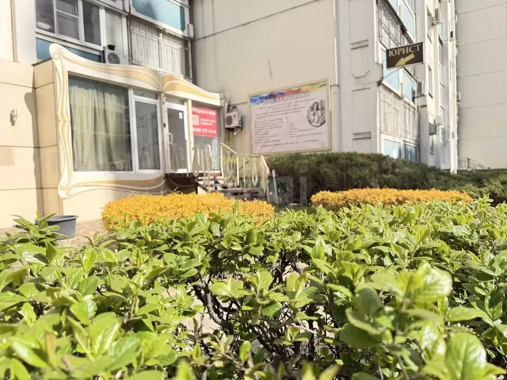 Офис в Воронежская область, Воронеж ул. Революции 1905 года, 66 (88 м) - Фото 2