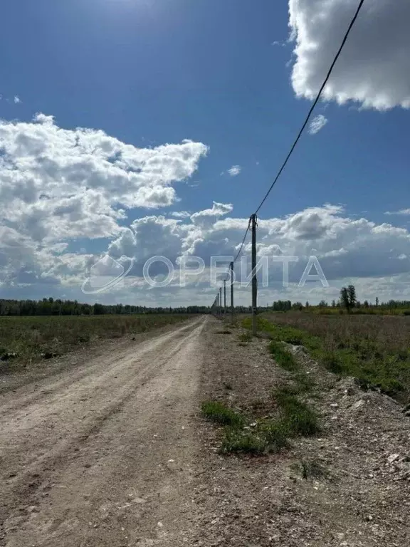 Участок в Тюменская область, Тюменский район, с. Горьковка Сибирская ... - Фото 0