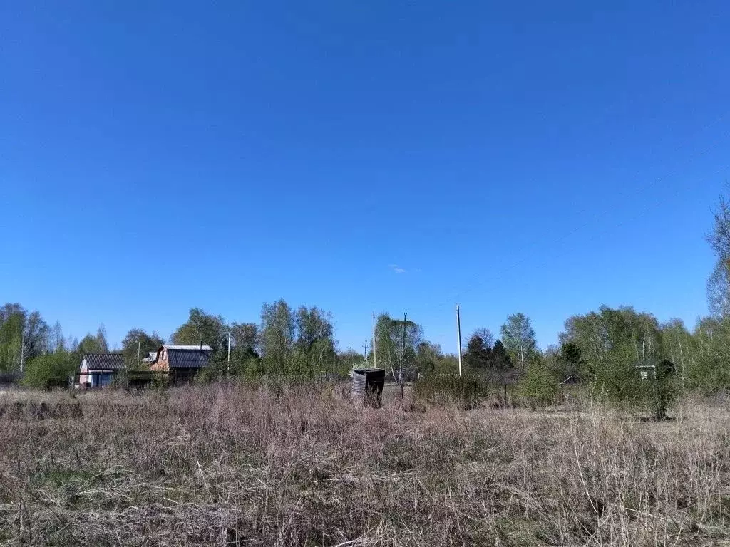 Участок в Омская область, Омский район муниципальный округ, ... - Фото 2