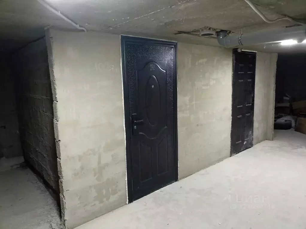 Помещение свободного назначения в Краснодарский край, Анапа Алексеевка ... - Фото 1