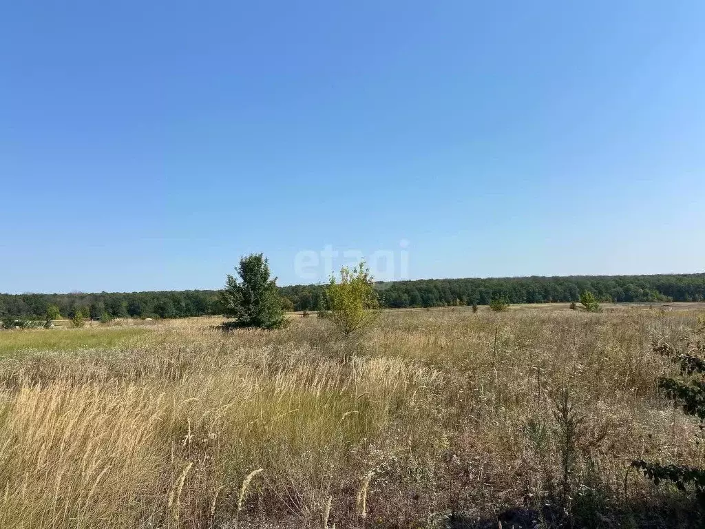 Участок в Белгородская область, Старый Оскол Пушкарские Дачи-2 мкр,  ... - Фото 1