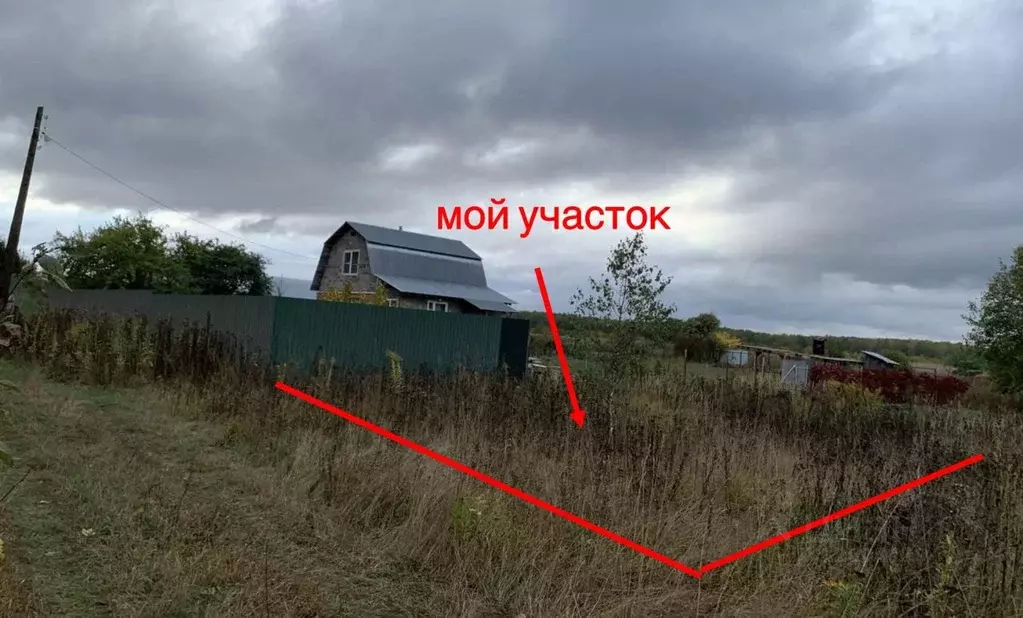 Участок в Владимирская область, Суздальский район, Селецкое ... - Фото 1