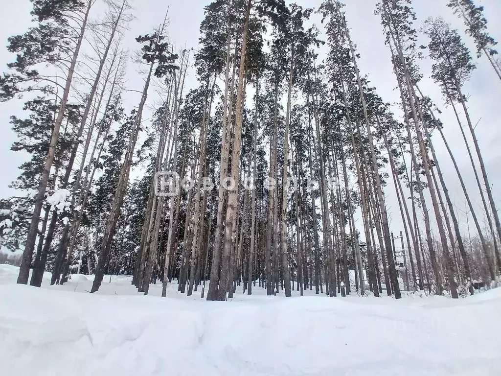 Участок в Рязанская область, Рязанский муниципальный округ, Заборье ... - Фото 1