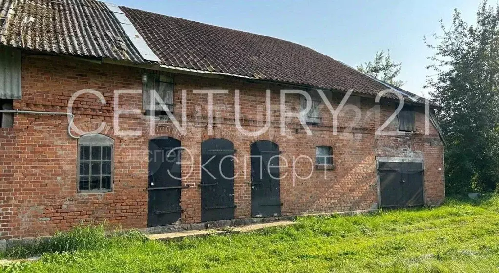 Дом в Калининградская область, Полесский муниципальный округ, пос. ... - Фото 1