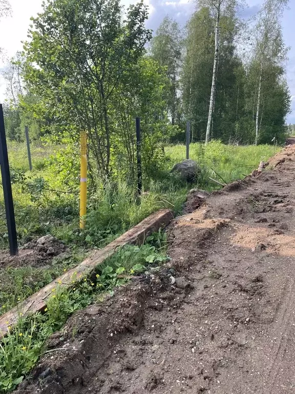 Участок в Новгородская область, Валдай Лесхозная ул. (15.0 сот.) - Фото 1
