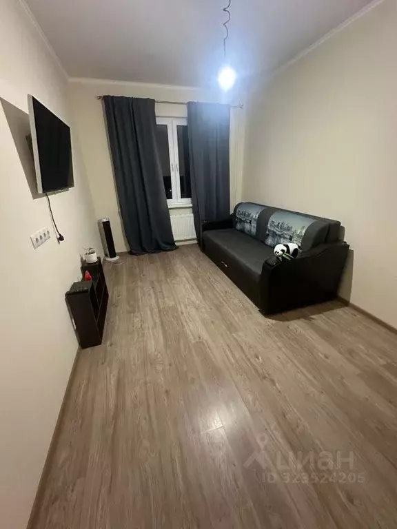 1-к кв. Московская область, Солнечногорск городской округ, Голубое пгт ... - Фото 1