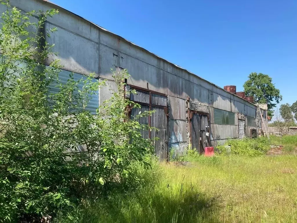 Склад в Ленинградская область, Выборгский район, Каменногорское ... - Фото 1