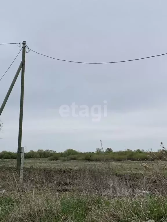 Участок в Курганская область, Далматово ул. Соболева (15.0 сот.) - Фото 1
