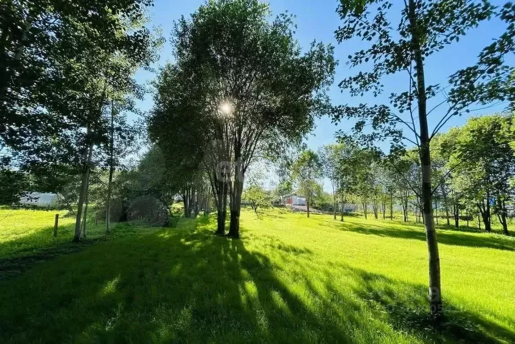 участок в ленинградская область, ломоносовский район, ропшинское . - Фото 1