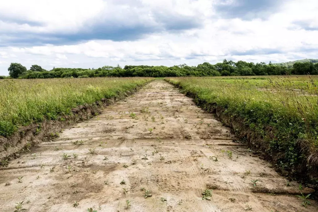 Участок в Ярославская область, Ярославский муниципальный округ, д. ... - Фото 2