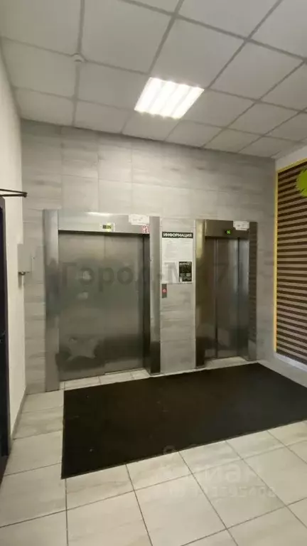 2-к кв. Ленинградская область, Мурино Всеволожский район, бул. ... - Фото 2