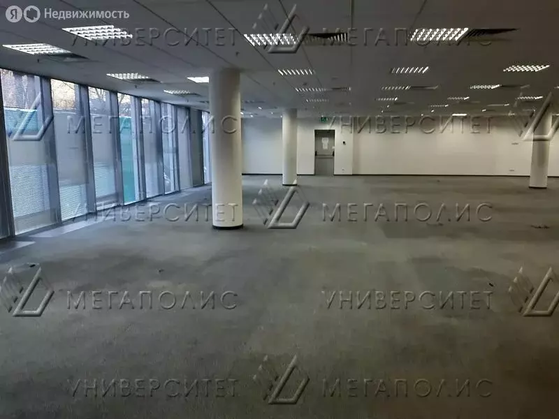 Офис (1670 м) - Фото 2