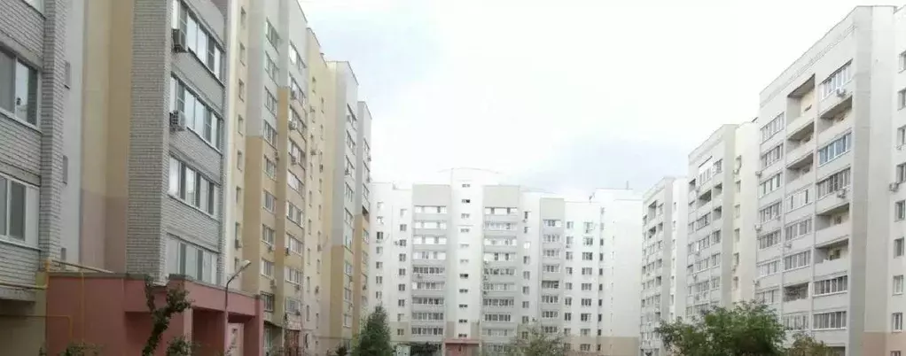 2-к кв. Саратовская область, Саратов ул. Имени П.Ф. Батавина, 12 (65.4 ... - Фото 2