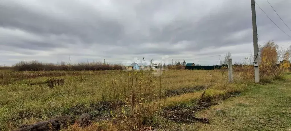 Участок в Амурская область, Тамбовский муниципальный округ, с. Лозовое ... - Фото 1