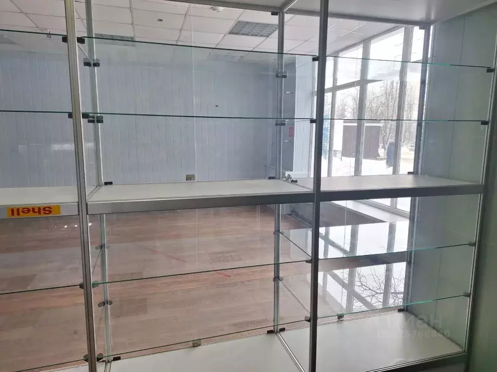 Торговая площадь в Белгородская область, Белгород ул. Королева, 2Ак3 ... - Фото 2