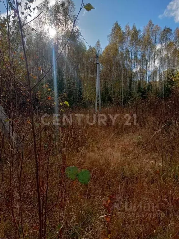 Участок в Пермский край, с. Карагай  (2.0 сот.) - Фото 1