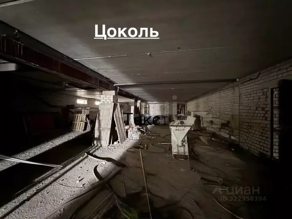 Помещение свободного назначения в Брянская область, Брянский район, ... - Фото 2