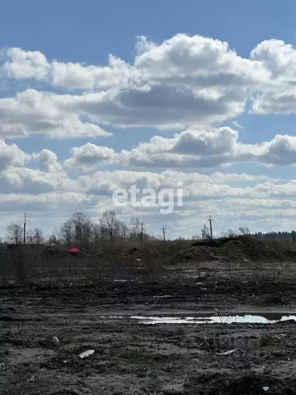 Участок в Ленинградская область, Гатчинский район, Сяськелевское ... - Фото 1