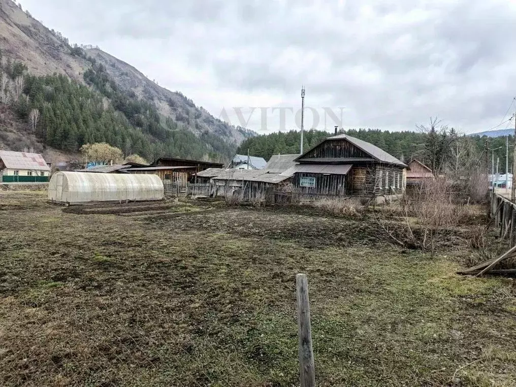 Дом в Алтай, Майминский район Р-256 Чуйский тракт, 472-й км (38 м) - Фото 2