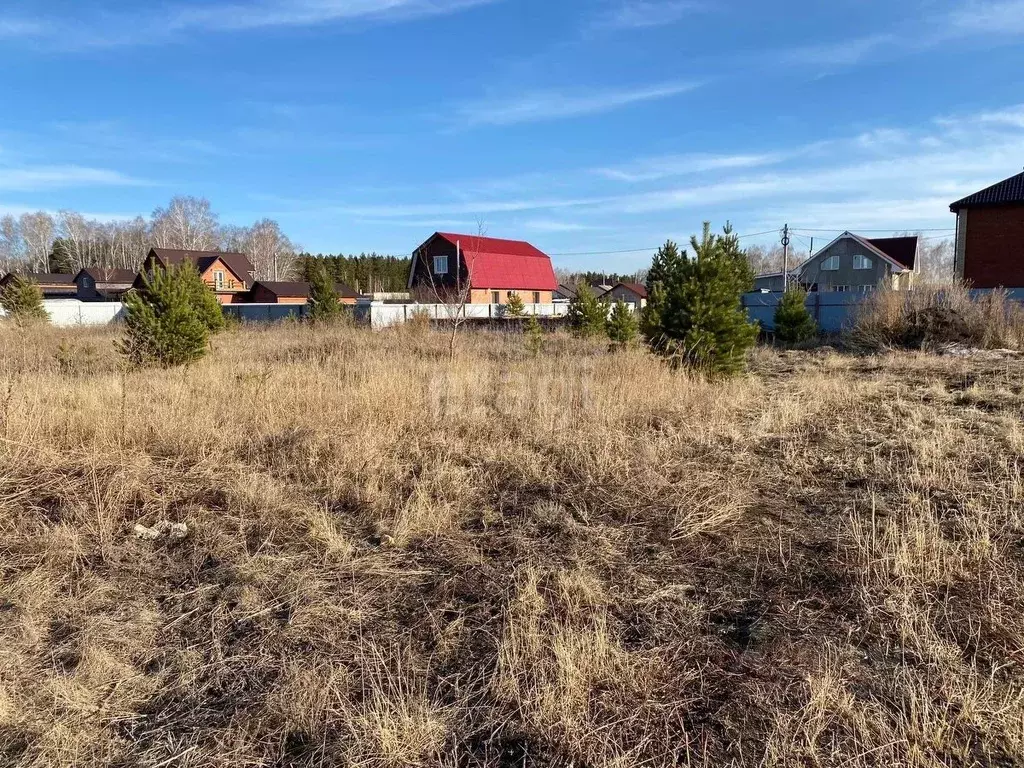 Участок в Омская область, Омский район, с. Надеждино Центральная ул. .,  Купить земельный участок Надеждино, Омский район, ID объекта - 20006048605