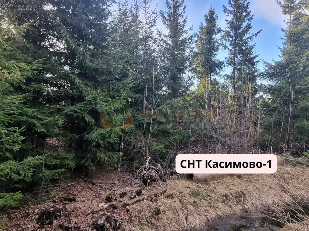 Участок в Ленинградская область, Всеволожский район, Агалатовское ... - Фото 0