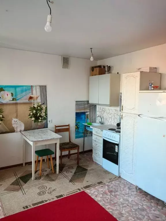 Студия Ивановская область, Кохма ул. Романа Куклева, 28 (26.7 м) - Фото 1