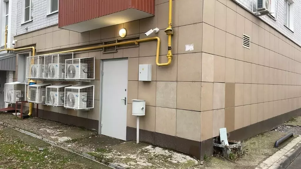 Помещение свободного назначения в Татарстан, Казань Авангардная ул., ... - Фото 1