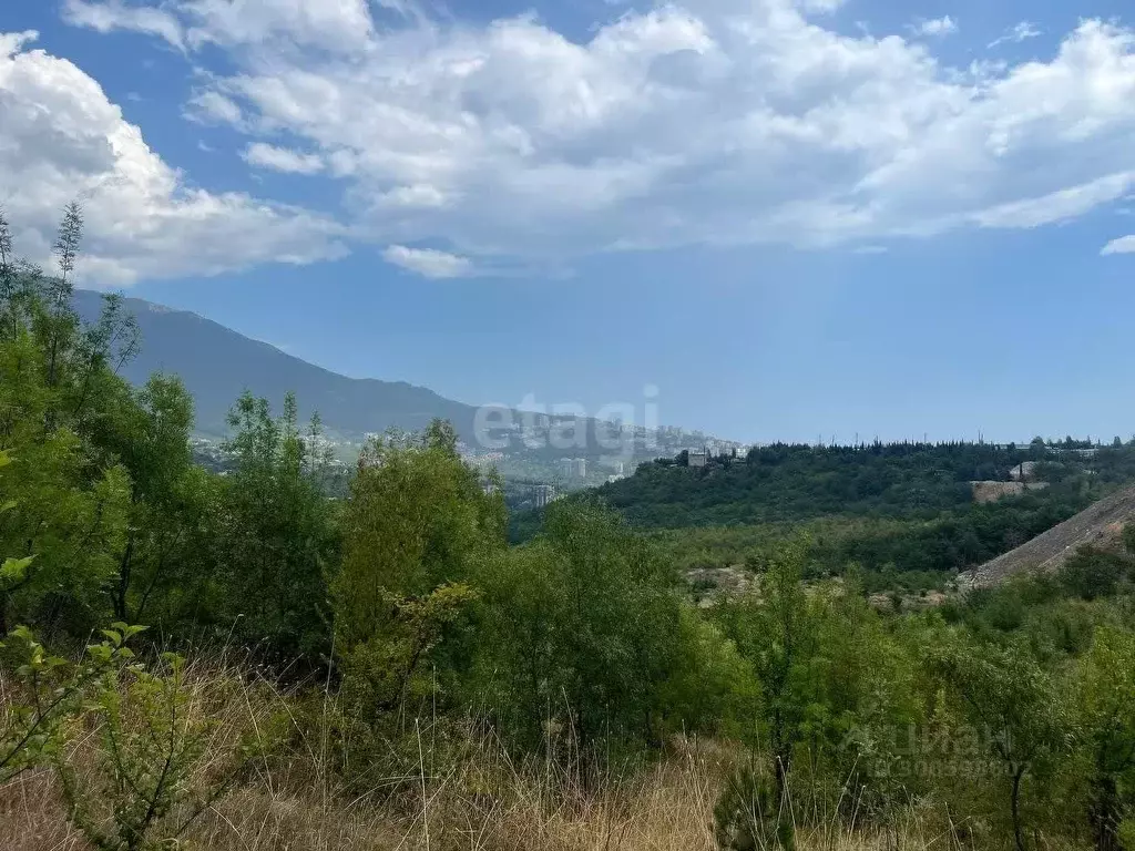 Участок в Крым, Ялта ул. Дарсановская, 67 (4.3 сот.) - Фото 0