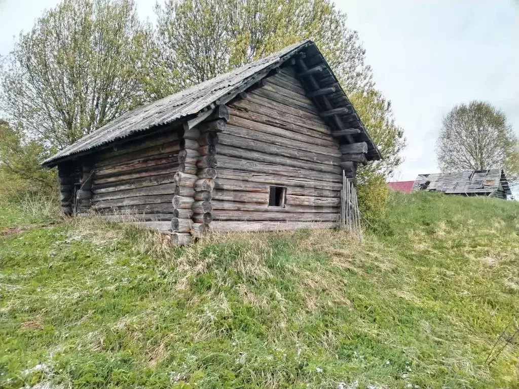 Участок в Ленинградская область, Киришский район, Будогощское ... - Фото 1