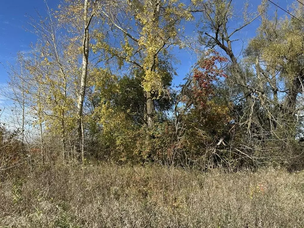 Участок в Московская область, Серебряные Пруды муниципальный округ, с. ... - Фото 1