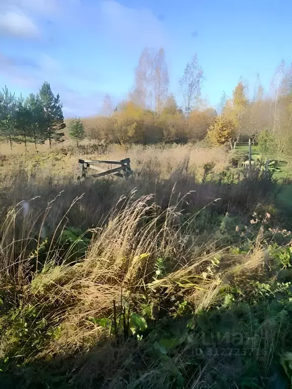 Участок в Ленинградская область, Тосно г. Тосненский район, Тосненское ... - Фото 0