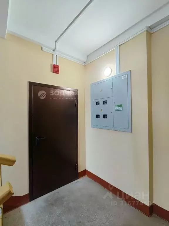 1-к кв. Чувашия, Канаш ул. Машиностроителей, 43к2 (35.7 м) - Фото 1